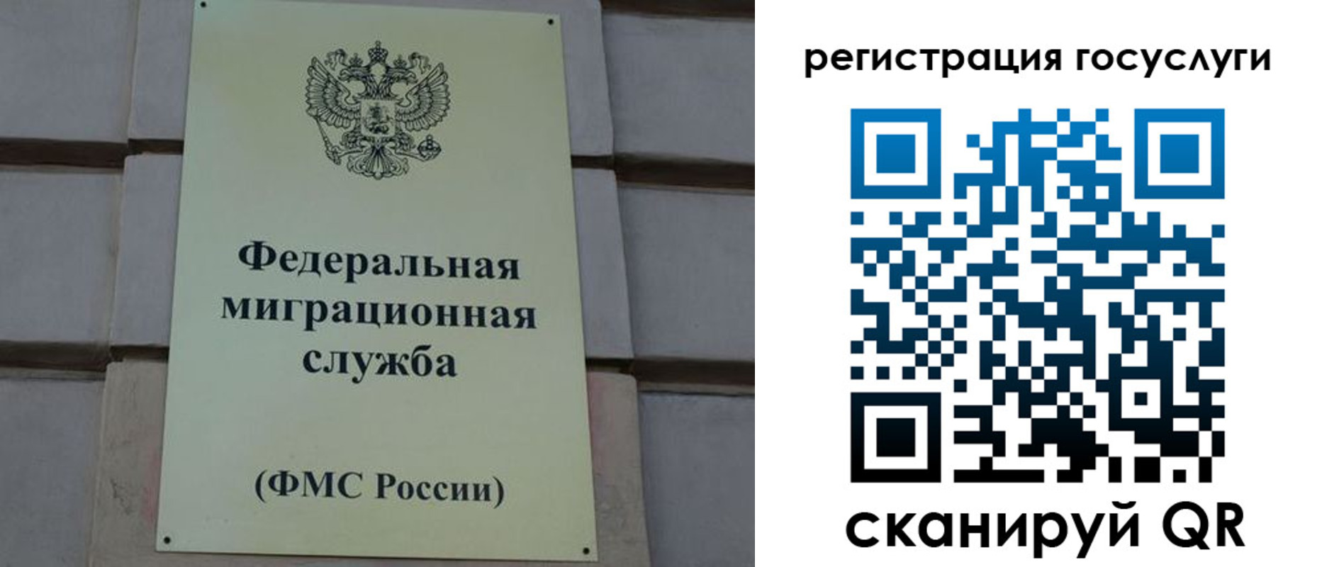 временная регистрация поиск в Солнечногорске